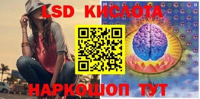 стаф Будённовск