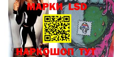 стаф Будённовск