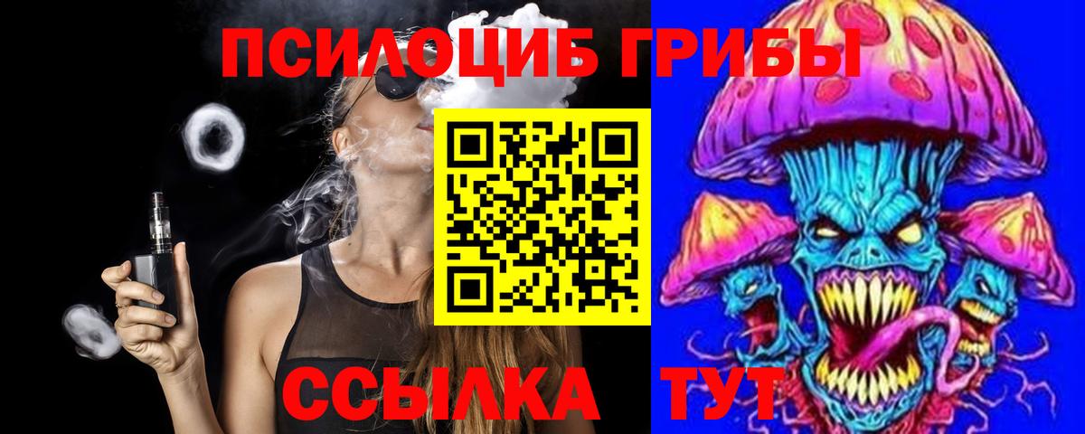 Галлюциногенные грибы Psilocybine cubensis Санкт-Петербург